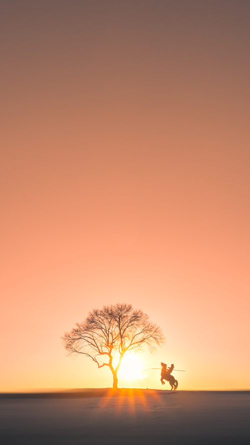 kaiyun官方网站-传奇球星的幕后生活，一窥他们的日常，传奇球星nba