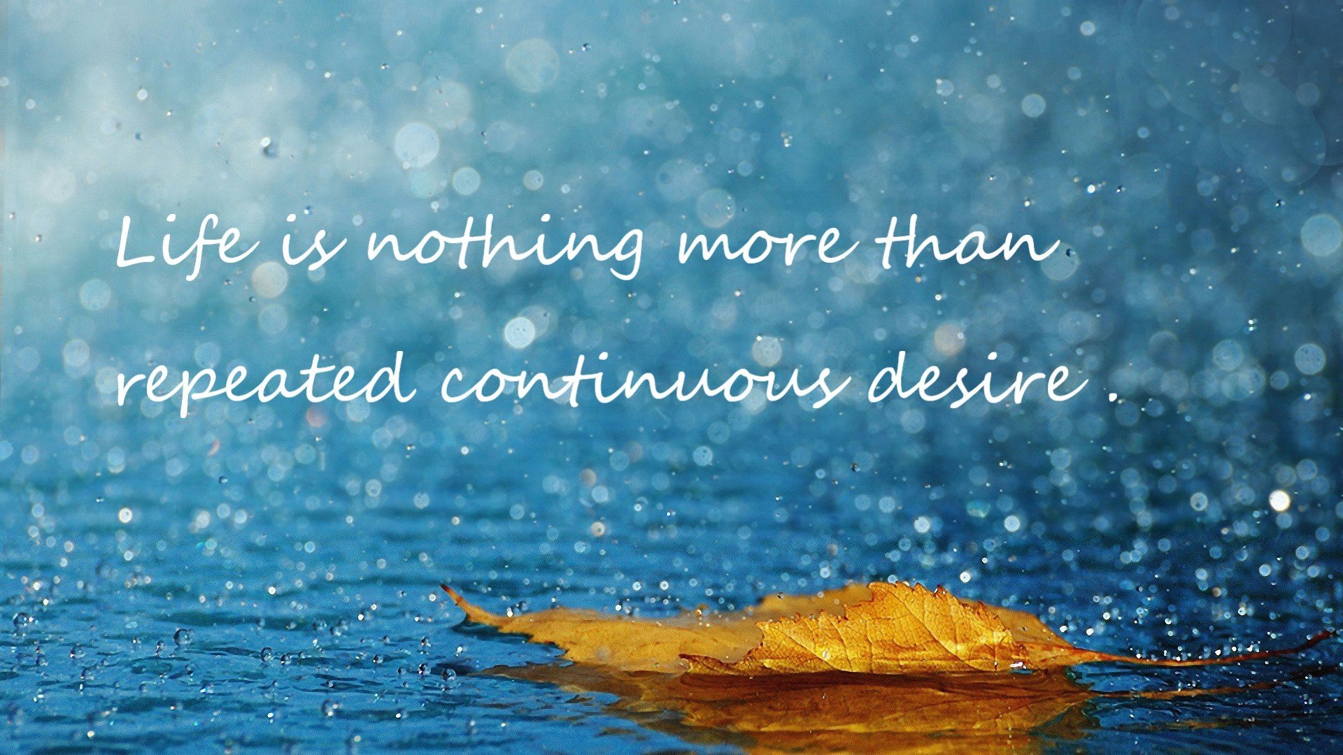 历史性瞬间:突破纪录的神奇表现一览,历史性重大突破