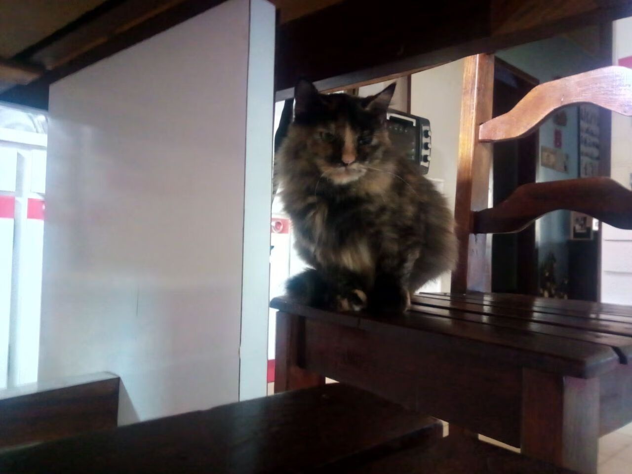 开云中国-智能数据分析：打造更公平的比赛环境，智能 数据