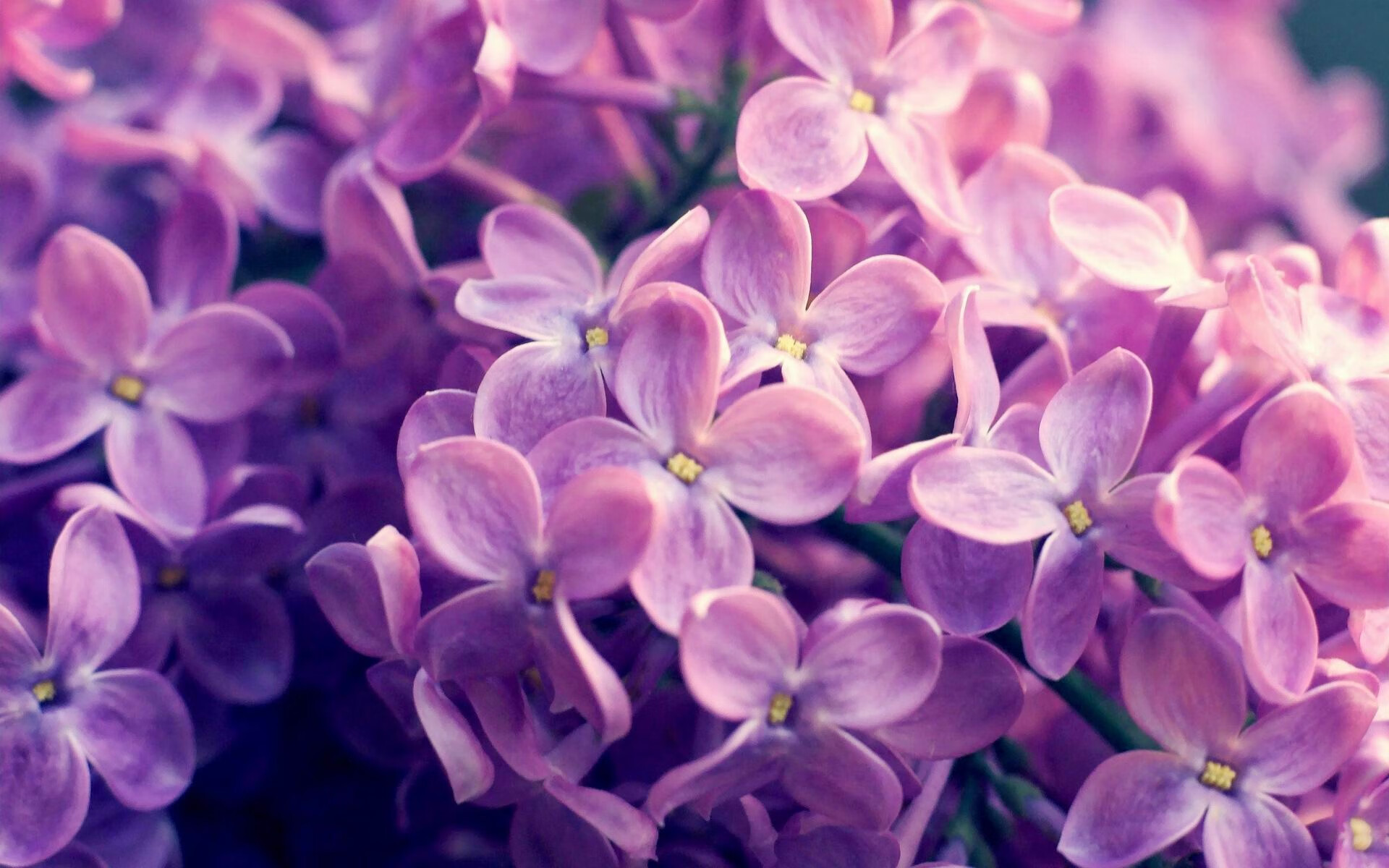 足球AI训练平台可视化战术模块上线，足球ai数据分析app