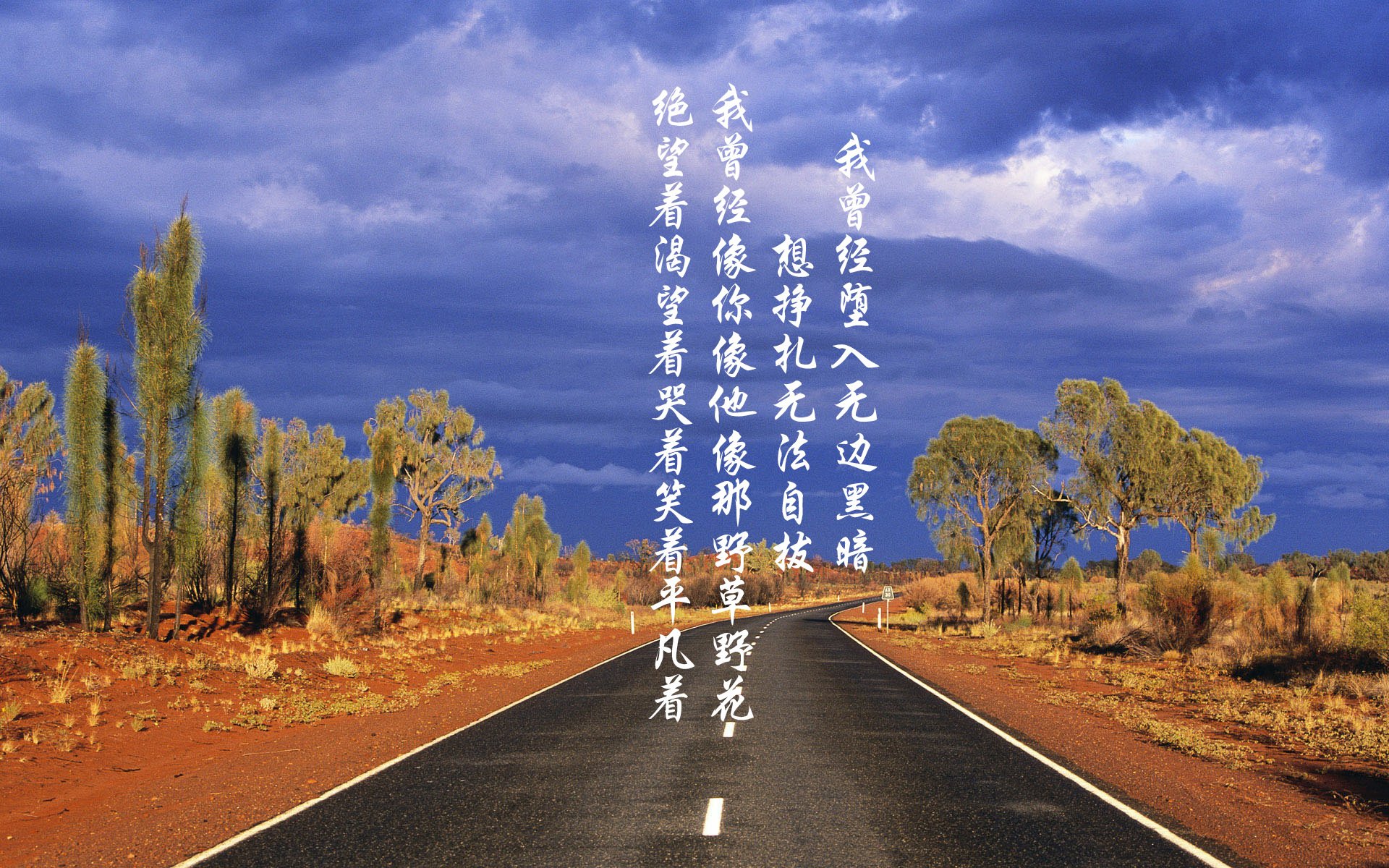 Team Liquid赛季总结发布,team liquid俱乐部