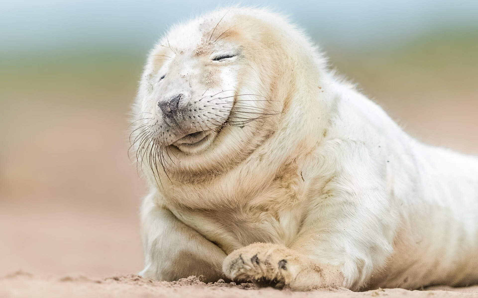 保利斯塔年轻球员快速成长，啊苏保利斯塔