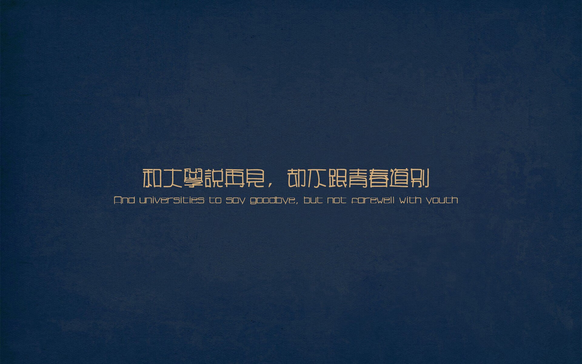 女足世界杯志愿者故事分享，女足世界杯受追捧