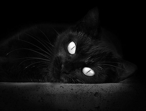 kaiyun开云·官方网站-石油人比赛节奏把控精准，石油人的七夕