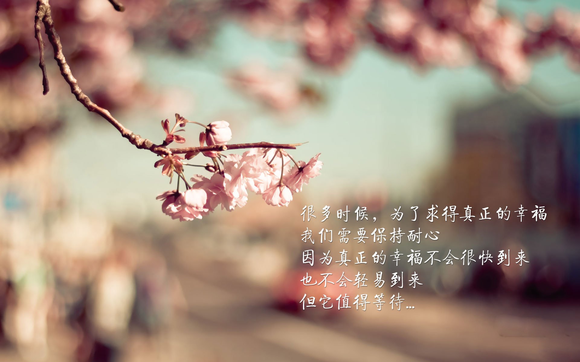 阿斯顿维拉主场告捷,欧战名额渐行渐近,阿斯顿维拉首发阵容