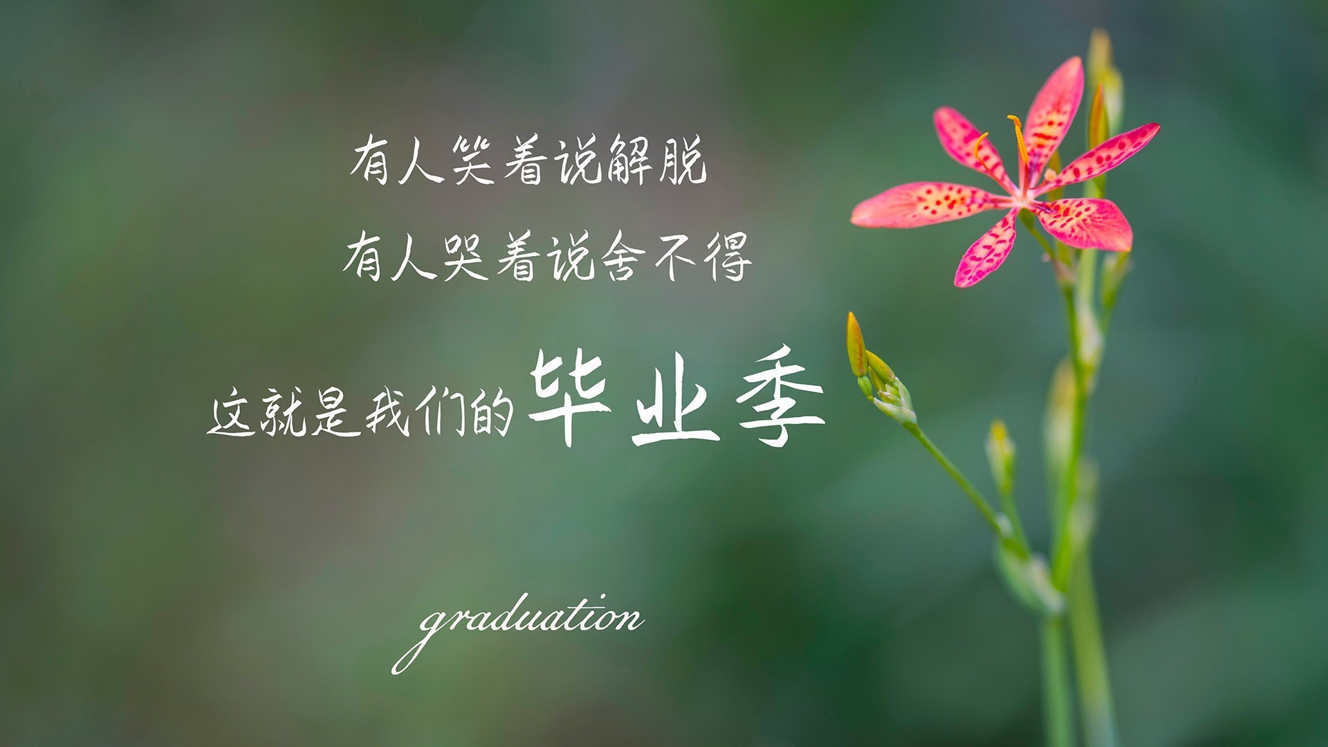 kaiyun登录入口-传奇归来：退役巨星重返赛场的故事，传奇归来现在怎么样