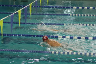 kaiyun登录入口-全国青少年游泳锦标赛青春风采尽展，全国青少年游泳比赛成绩