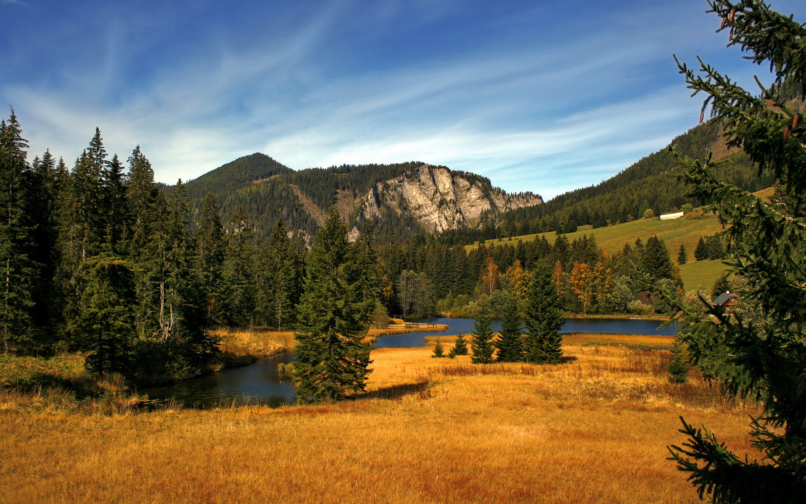 运动员运动科学支持系统,运动员系统训练
