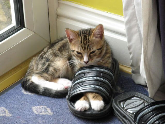 LOL跨服约战开启观众体验更具张力,lol跨服聊天