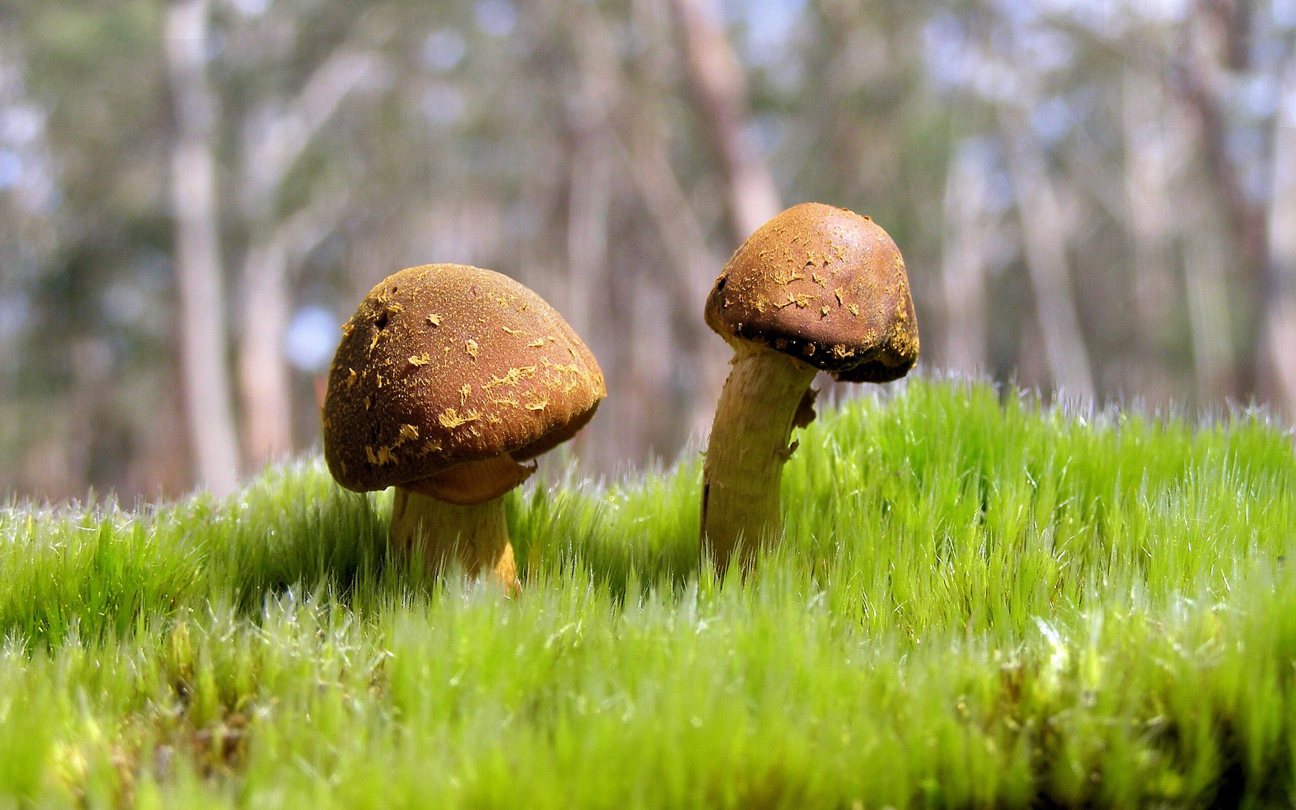 五大联赛是否加速门将攻防参与能力训练，五大联赛进攻型球队