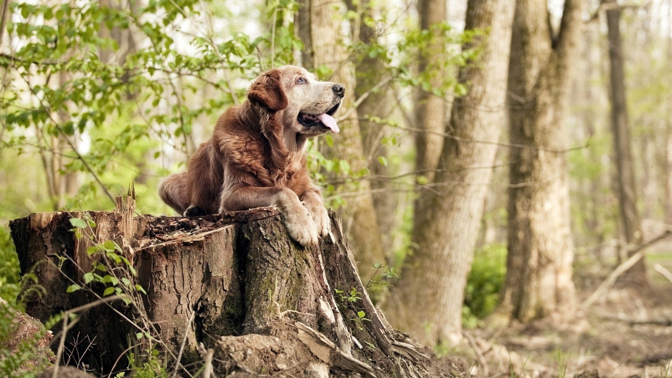 kaiyun体育app-全国青少年体能大比武推广专项训练计划，全国青少年体育比赛有哪些