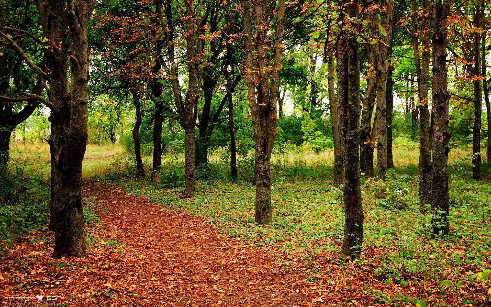 体育博览会展示最新科技成果,体育博览会展示最新科技成果有哪些