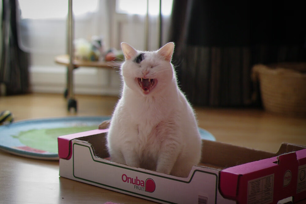 体育新闻中心公布运动科技产业成果展示项目名单,体育产业创新项目