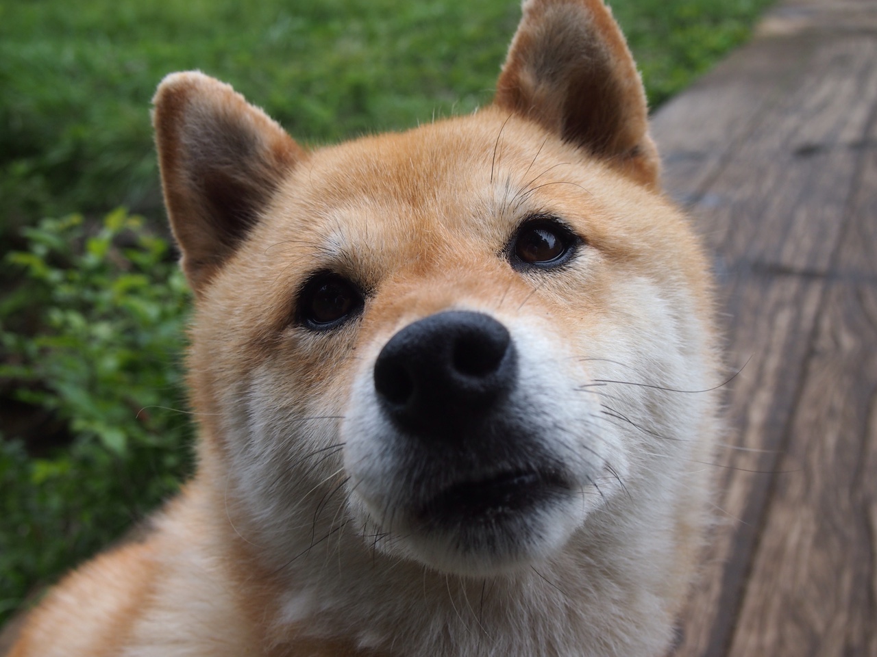 哈登遭遇冷门NBA总决赛,哈登总决赛得分