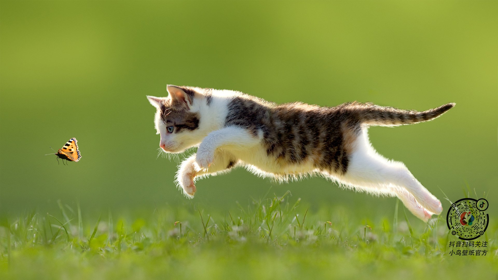 开云kaiyun-塞维利亚延续良好状态，冲击欧洲赛场资格