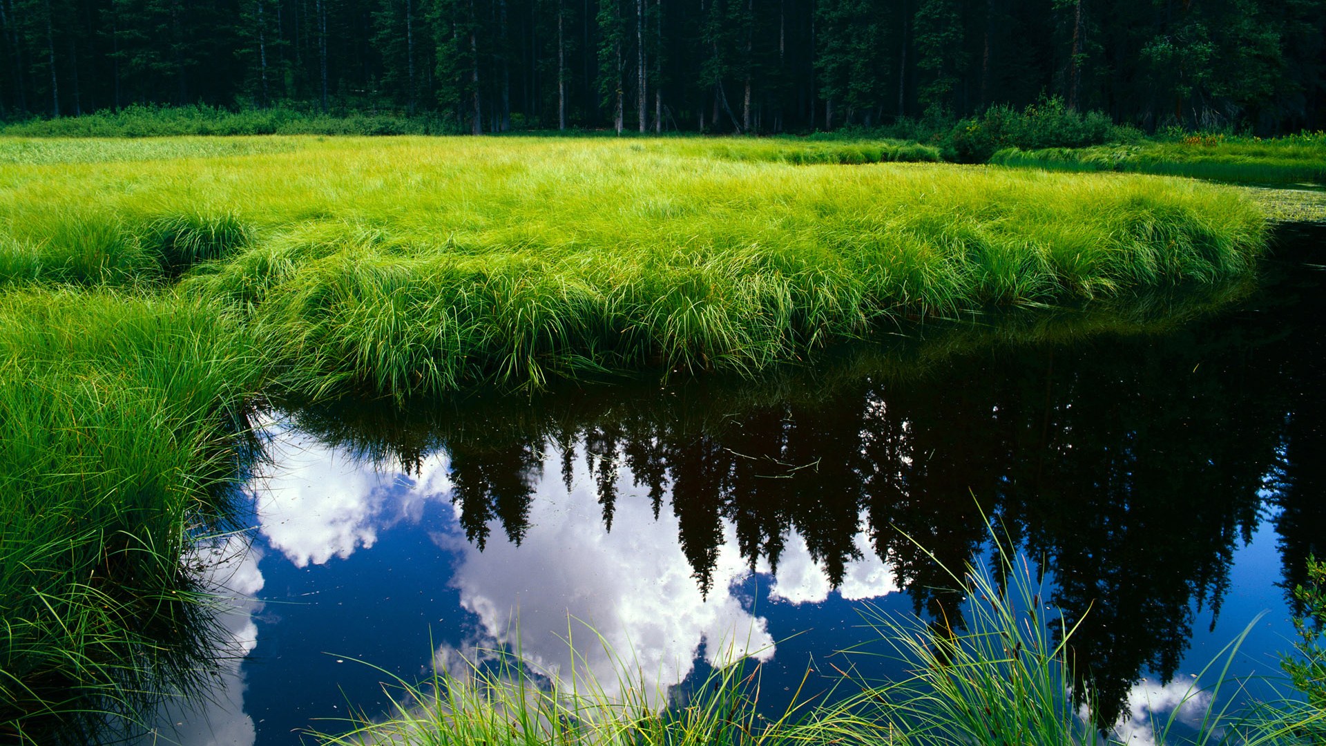 kaiyun网站-欧洲锦标赛激战正酣，德国队和西班牙队争锋夺冠，精彩持续不断