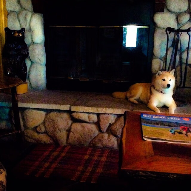 特色足球教育系列讲座在全国高校展开，提升青少年的体育素养，足球特色学校课程体系