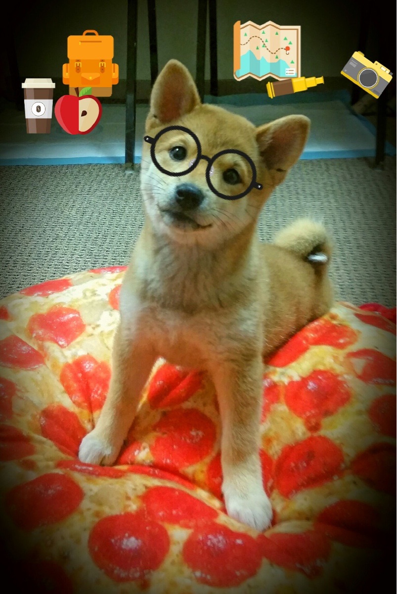 美洲杯激战不断:战术与拼搏共舞,美洲杯2021揭幕战