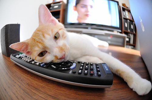 开云kaiyun-英超冠军之争：精彩纷呈，悬念升腾！，英超冠军争夺