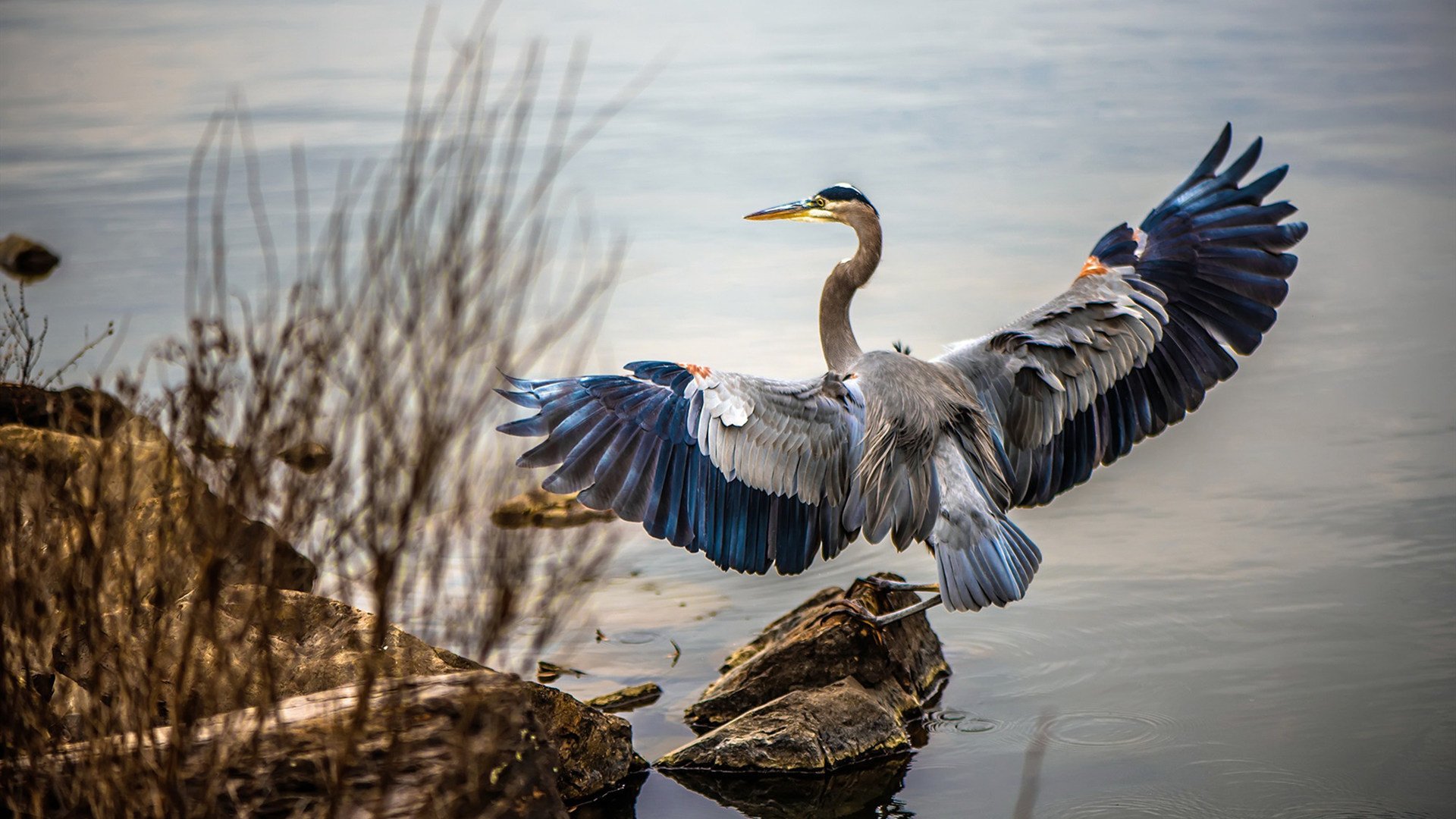 英超终极冲刺:每场都孕育奇迹,英超 满场