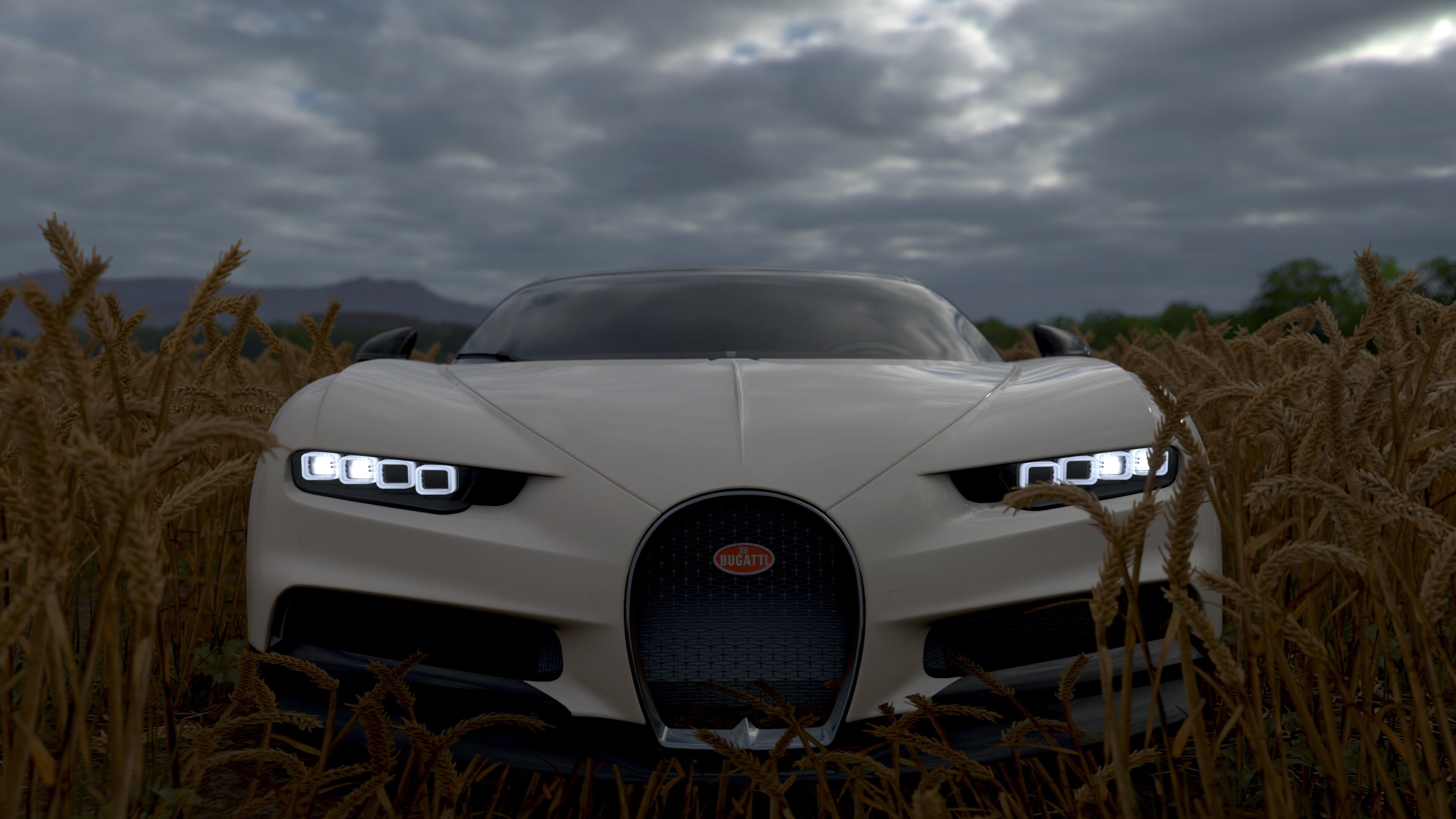 开云官网APP下载-跳水选手姿态优雅比利时获认可，比利时跳水运动员